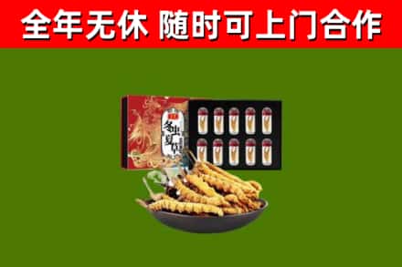 平凉市回收冬虫夏草价格